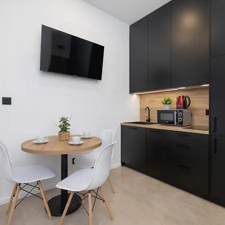 Slowackiego Comfy Studio - Katowice Central Station By Noclegi Renters Esterno foto